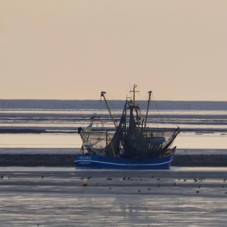 Ferienappartment Spiekeroog - Insel Auf Dem Festland Appartement Neuharlingersiel