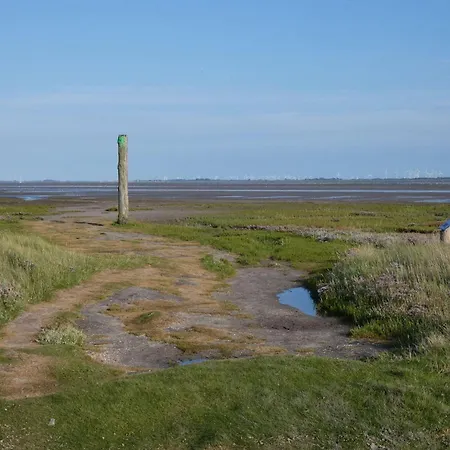 Ferienappartment Spiekeroog - Insel Auf Dem Festland * Neuharlingersiel