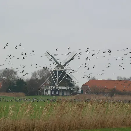 Ferienappartment Spiekeroog - Insel Auf Dem Festland